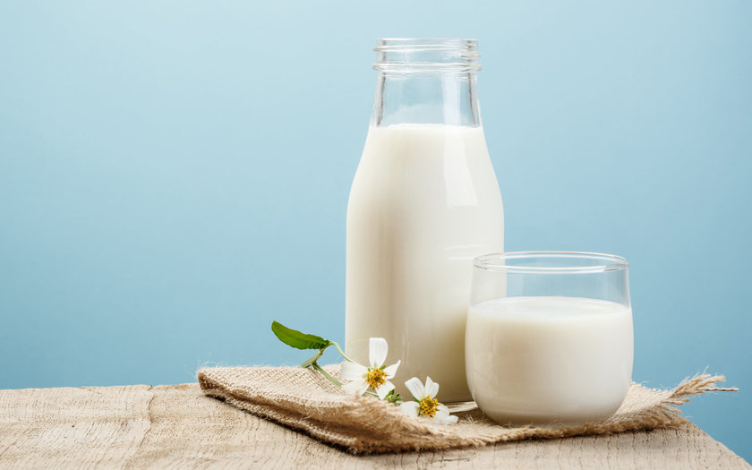 Mais De Receitas De Leite Vegetal Para Fazer Em Casa