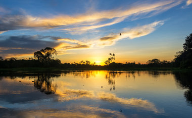 Turismo na Amazônia é opção de viagem exótica