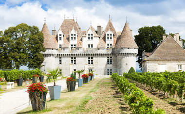 Diversão para adultos: primeiro parque temático dedicado ao vinho é inaugurado na França