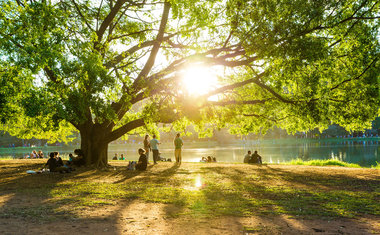 Mais de 15 coisas que você precisa fazer em SP neste verão 