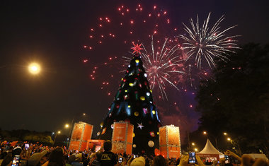 Árvore de Natal do Ibirapuera será inaugurada em 26 de novembro