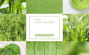 Greenery é a cor de 2017; saiba como investir nesta tendência