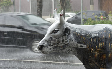 CowParade Brasil invade as ruas São Paulo a partir do dia 26