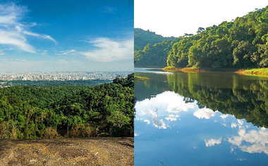 Parque Estadual da Cantareira é refugio verde dentro de SP