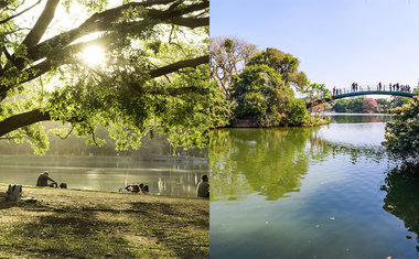 Passeio passa por pontos inéditos do Parque Ibirapuera e mostra a cidade por um outro ângulo