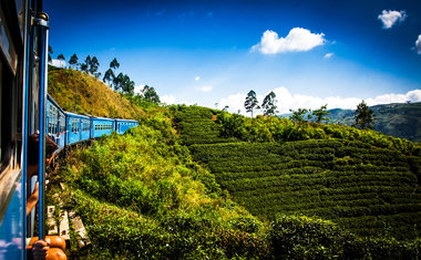 Sri Lanka: 5 lugares imperdíveis para conhecer no país asiático