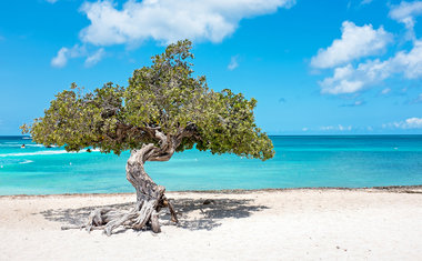 10 lugares paradisíacos banhados pelo mar do Caribe que você precisa conhecer