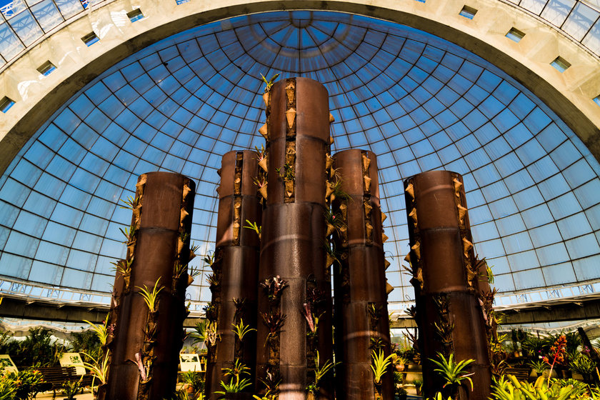 8 passeios imperdíveis no Parque Villa-Lobos, em São Paulo