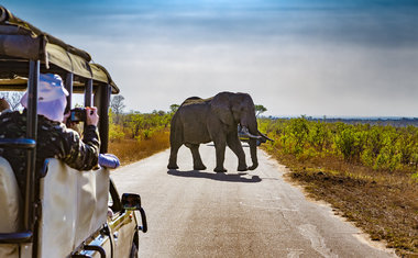 10 países incríveis para fazer um safari