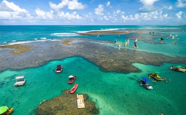 Passeios imperdíveis de Porto de Galinhas