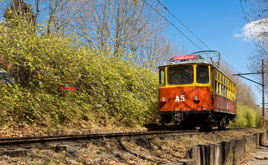 5 passeios bate e volta para fazer de trem em São Paulo