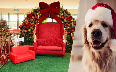 Natal Pet: Shopping em SP tem trono do Papai Noel exclusivo para cães