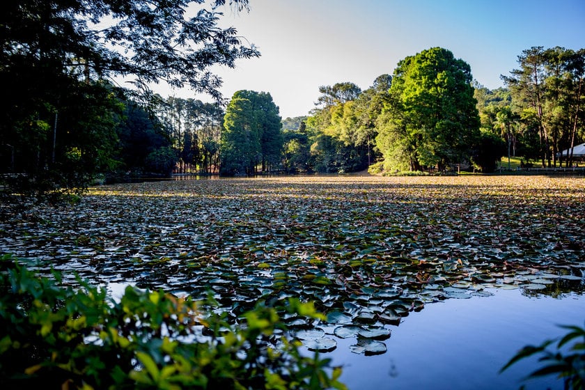 9 lugares imperdíveis para conhecer na Zona Norte de São Paulo