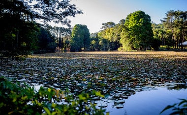 9 lugares imperdíveis para conhecer na Zona Norte de São Paulo