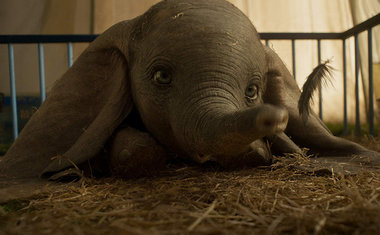 Saiba o que esperar do live action "Dumbo", de Tim Burton, que estreia nos cinemas nesta quinta-feira (28)