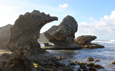 Conheça Barbados, incrível país no Mar do Caribe