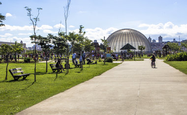 Do Ibirapuera ao Horto Florestal: 10 parques que vale a pena visitar em São Paulo