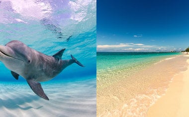 Conheça o paradisíaco arquipélago das Ilhas Cayman, no Caribe