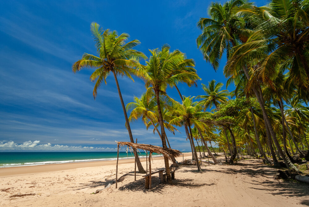 10 Pontos Turísticos Do Nordeste Brasileiro Para Ver Online