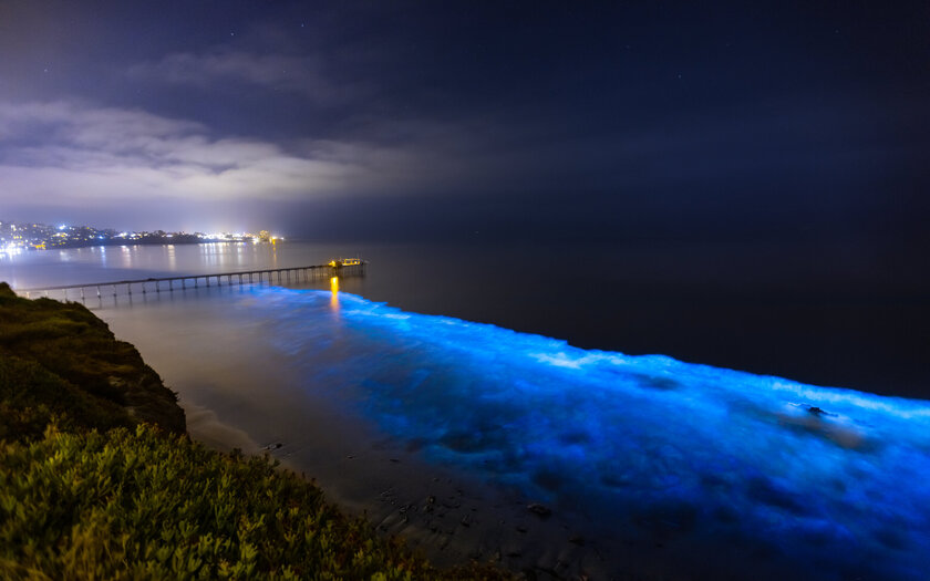 Bioluminescência 6 praias ao redor do mundo que brilham no escuro