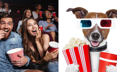 Projeto promove sessões de cinema para cachorros em São Paulo; saiba como levar o seu!