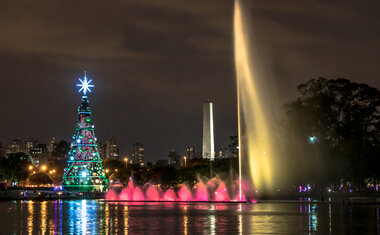 Com mais de cem árvores iluminadas, Parque Ibirapuera recebe o tradicional e mágico 'Natal no Parque'; saiba tudo!