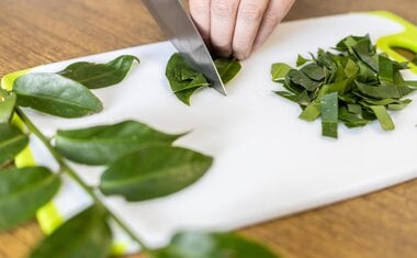 É seguro comer ora-pro-nóbis crua? Especialista responde