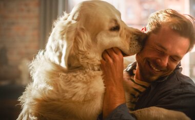 Descubra qual é o segredo para fortalecer o vínculo com o seu cachorro