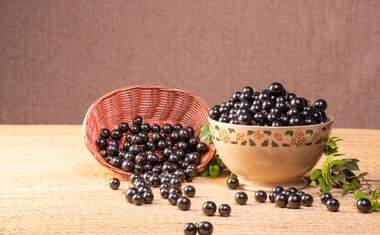 Pode comer o caroço da jabuticaba? Descubra a verdade