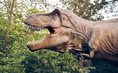 Parque dos Dinossauros: conheça o passeio que promete diversão para toda a família