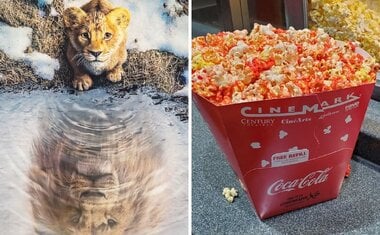 Cinemark lança combo exclusivo inspirado em ‘Mufasa: O Rei Leão’; veja fotos