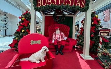 9 shoppings com trono pet em São Paulo para levar seu animal de estimação neste Natal