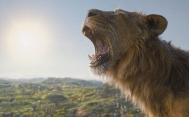 'Mufasa: O Rei Leão': confira 4 combos promocionais incríveis espalhados por cinemas de todo o Brasil