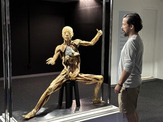 Exposição: Corpo Humano