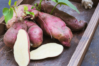 Saúde e Bem-Estar: Suco de batata-doce: saiba para que serve, benefícios e como tomar