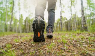 Saúde e Bem-Estar:  45 minutos de caminhada por dia pode te salvar deste problema