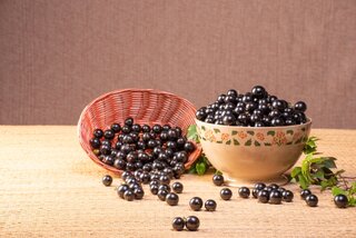 Saúde e Bem-Estar: Pode comer o caroço da jabuticaba? Descubra a verdade