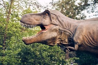 Viagens: Parque dos Dinossauros: conheça o passeio que promete diversão para toda a família