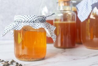 Saúde e Bem-Estar: Kombucha: conheça a bebida milenar conhecida como “chá de imortalidade”