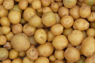 Saúde e Bem-Estar: Nem na geladeira, nem na fruteira: este é o melhor lugar para guardar as batatas