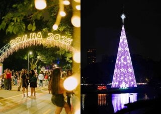 Na Cidade: Árvore de Natal do Parque Ibirapuera 2024