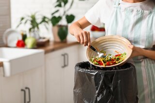 Saúde e Bem-Estar: Dica infalível baseada na ciência: como reduzir desperdício de comida nas festas de final de ano