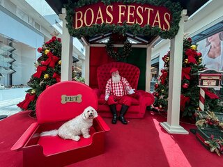 Na Cidade: 9 shoppings com trono pet em São Paulo para levar seu animal de estimação neste Natal