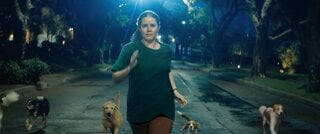 Filmes e séries: Amy Adams se transforma em cachorro em novo filme da Disney+; saiba quando você poderá assistir