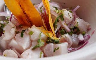 Ceviche de Salmão