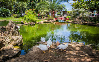 Caldas Novas | Goiás