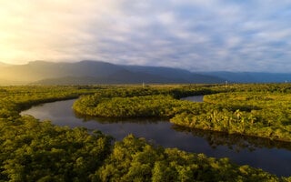 Amazonas