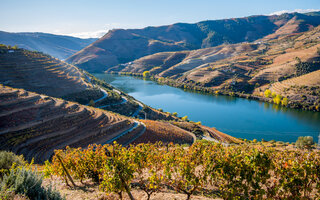 Rio Douro