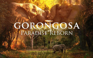 Gorongosa: Reborn Paradise | Disney+