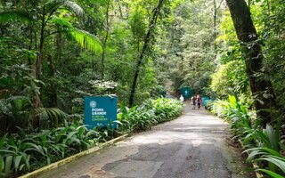 Fazer uma trilha no Parque Estadual Cantareira